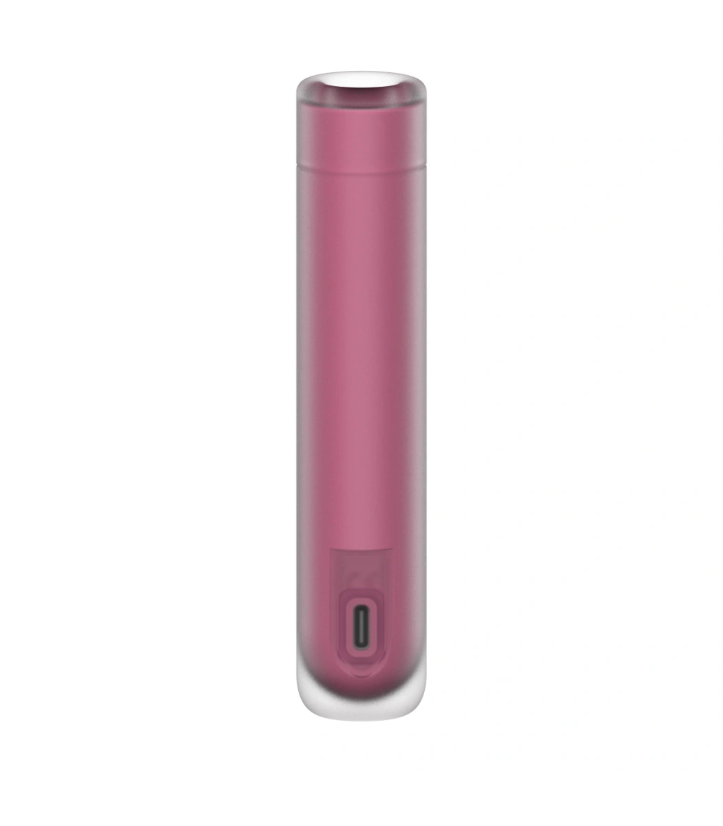 Vibrator First Kiss, 30 Programe Suctiune, USB, Burgundy, 14.5 cm
