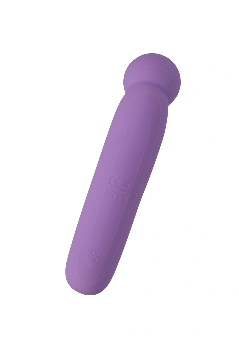 Vibrator Wand LustTree FairyGasm, 10 Moduri Vibratii, USB, Violet, 14.2 cm