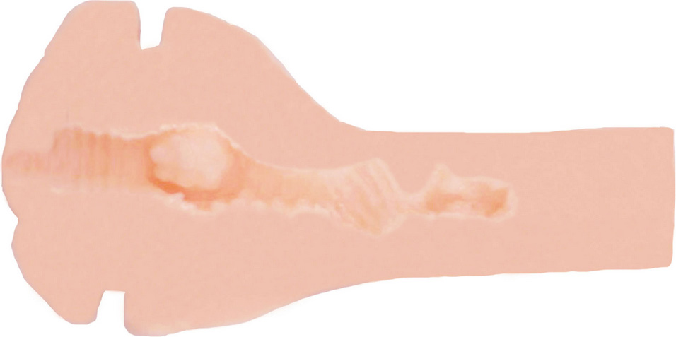 Masturbator Pussy Original Vacuum Cup