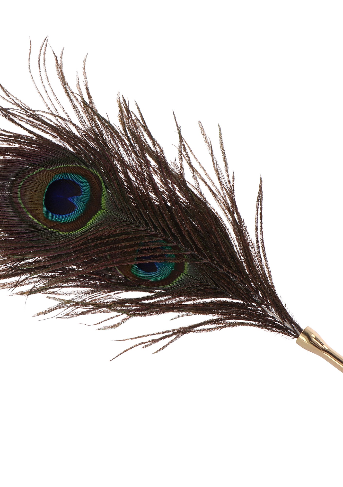 Tickler Pana de Paun Dona, 27 cm