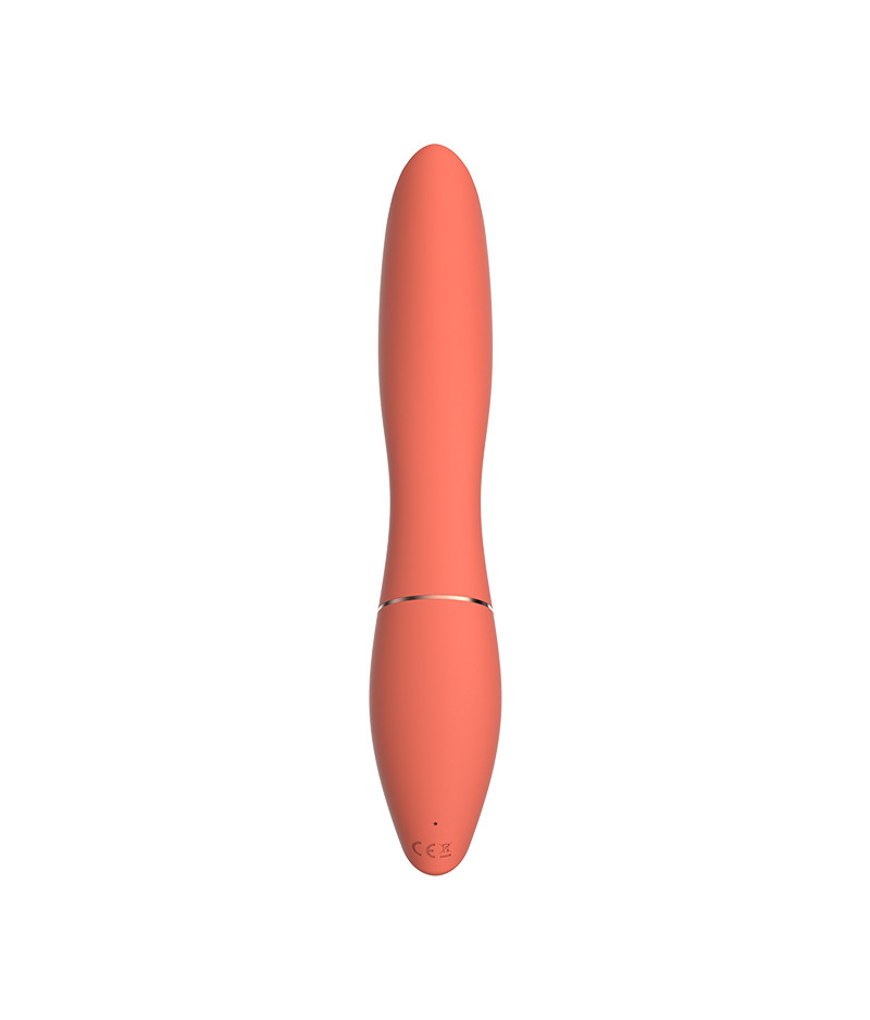 Vibrator Rabbit Carmen 10 Moduri Vibratii Silicon USB Charismatic